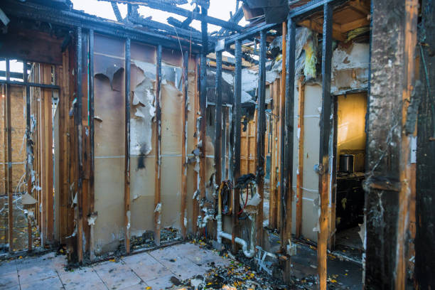 Professional Fire Damage Removal technician working in Norwalk, OH